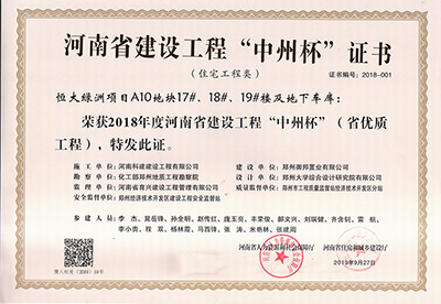 恒大綠洲項目A10地塊17#、18#、19#樓及地下車庫榮獲“2018年度河南省建設(shè)工程中州杯（省優(yōu)質(zhì)工程）”